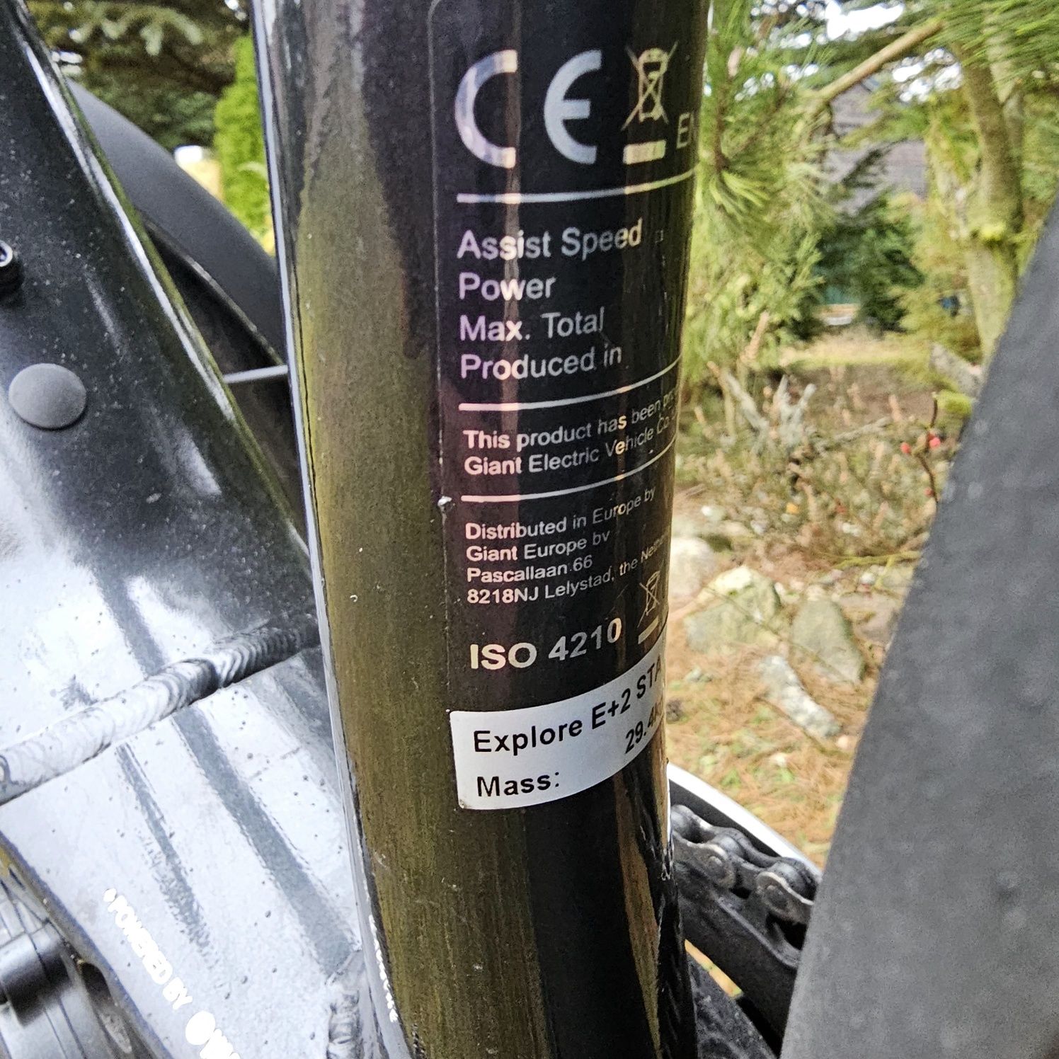 Rower elektryczny Giant ISO 4210