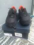 Sapatilhas novas TOMMY 43.