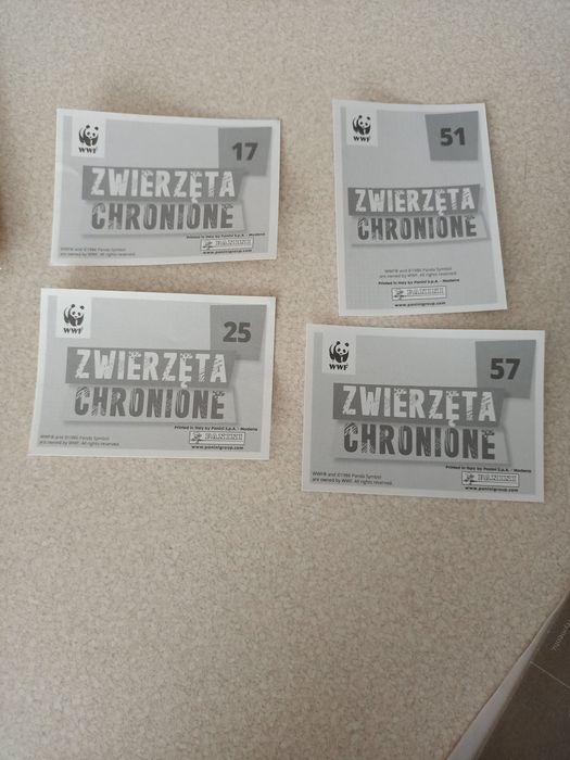 Panini naklejki wwf