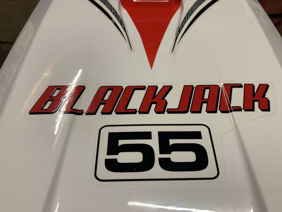 Катер Pro Boat Blackjack 55 /Catamaran/