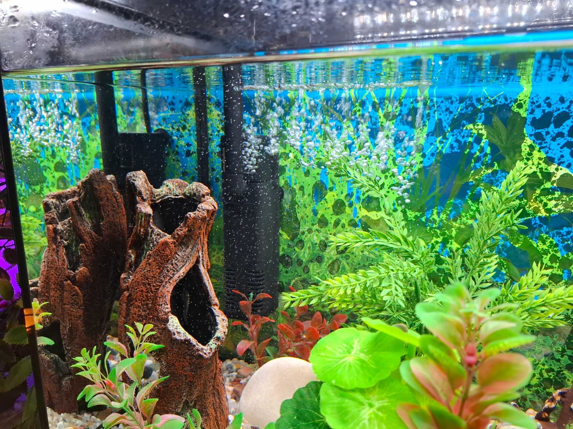 Vendo aquário com luz de 50 L impecável