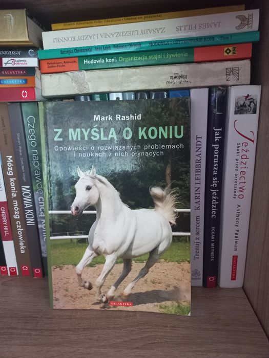 Książka jeździecka, z myślą o koniu
