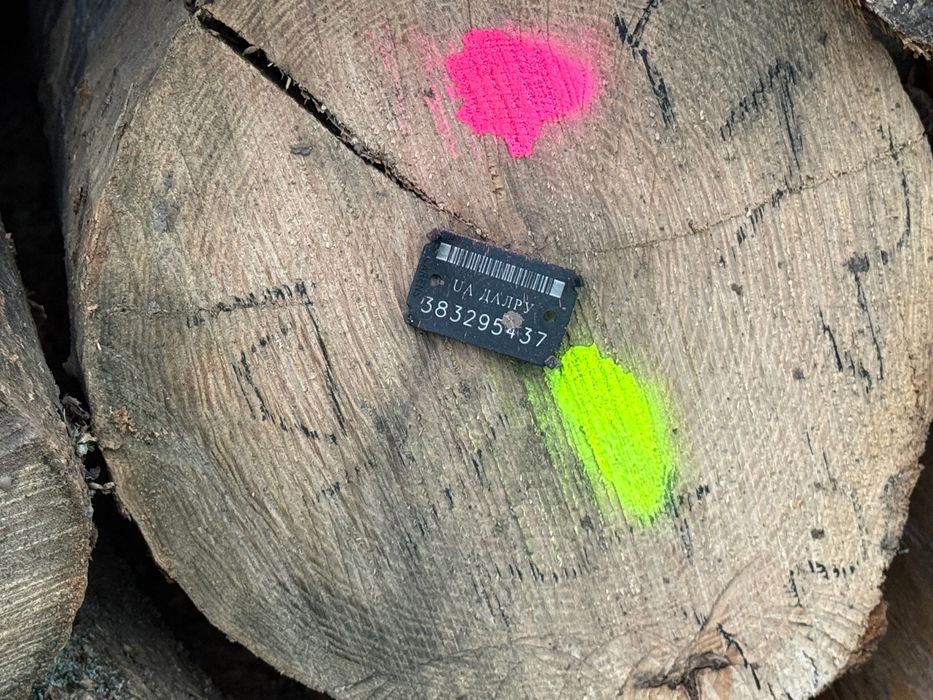 Дуб ясень акация и другие твёрдые породы