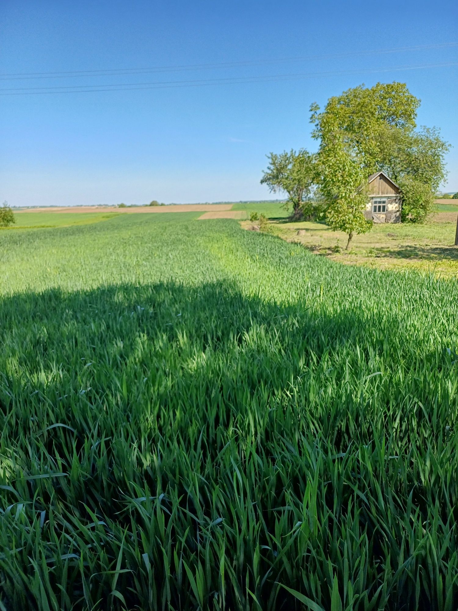 Продам земельну ділянку 26 соток