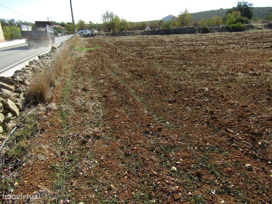 Terreno Rústico em São Brás de Alportel