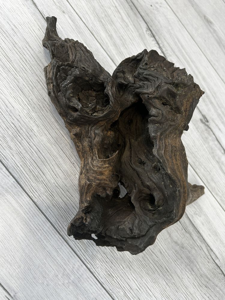 Korzeń mopani 30x21 cm – idealny do akwarium lub terrarium