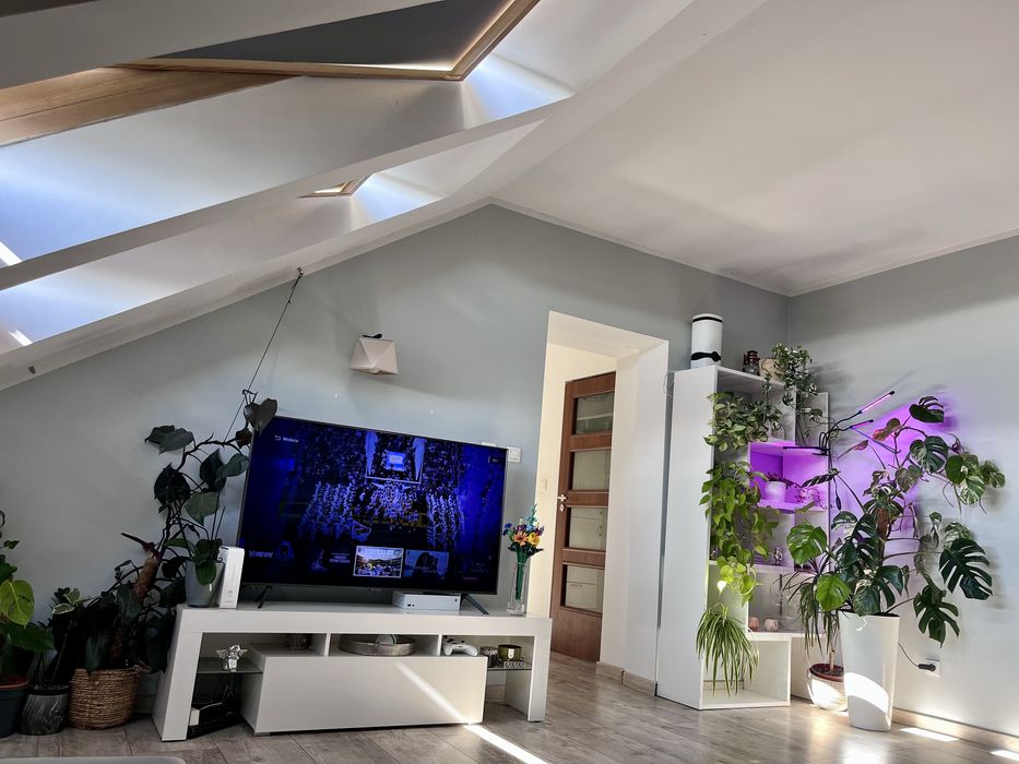 Sprzedam słoneczne mieszkanie Saperska 50m2 wolne od zaraz