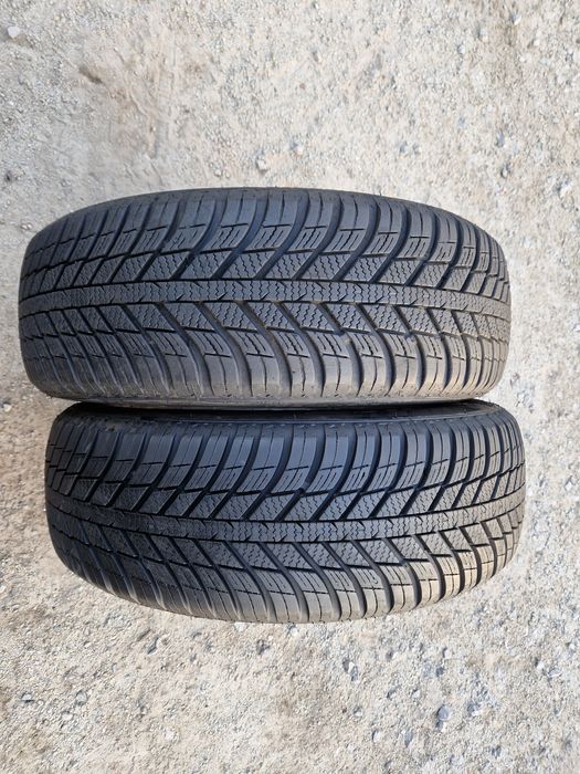 Opony wielosezonowe Nexen NBlue 4Season Wh17 195/65r15 (91T)