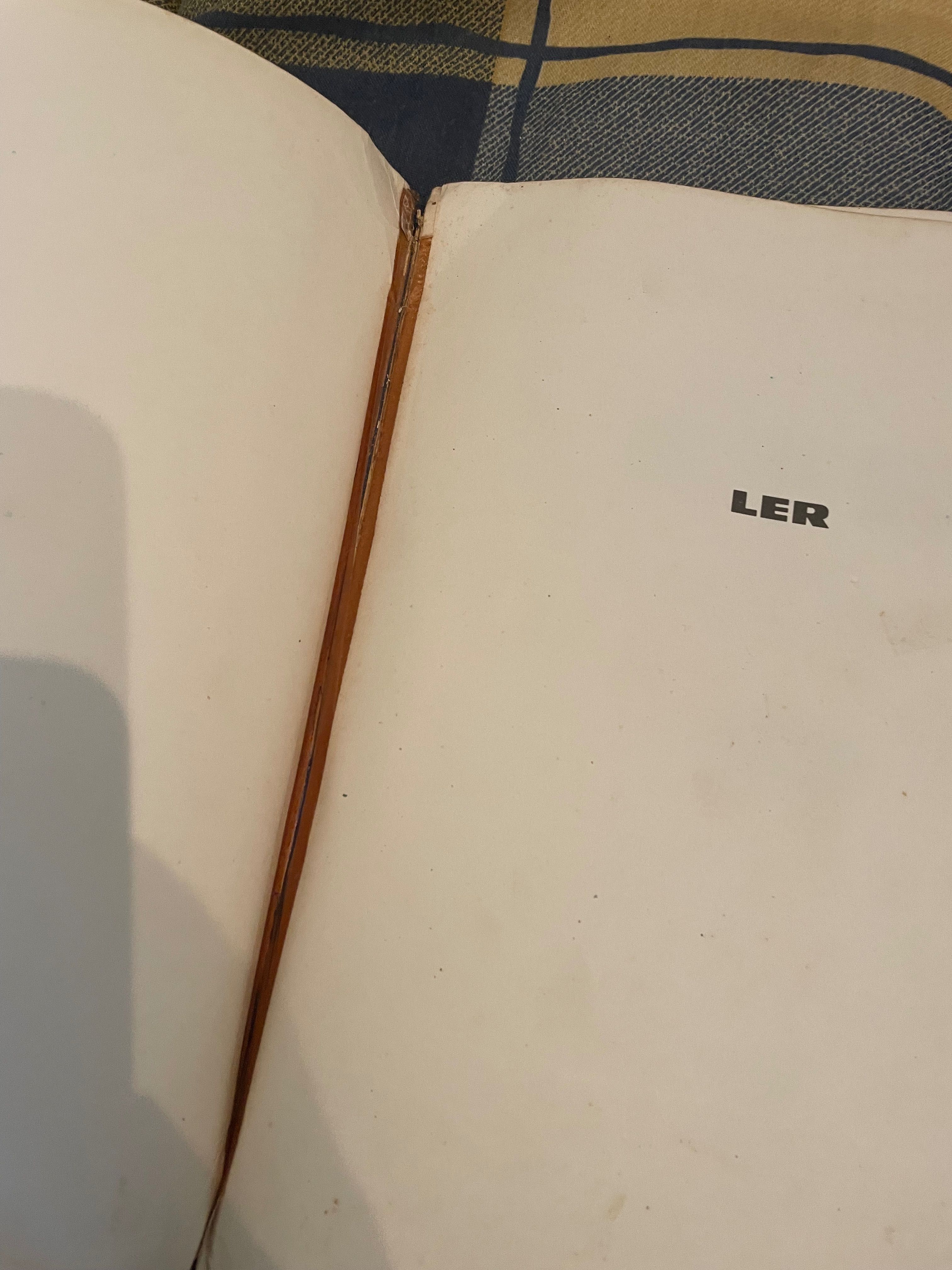 Livro Ler 2º ano