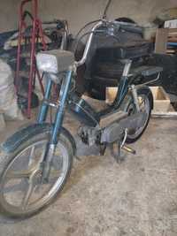 Продам piaggio bravo