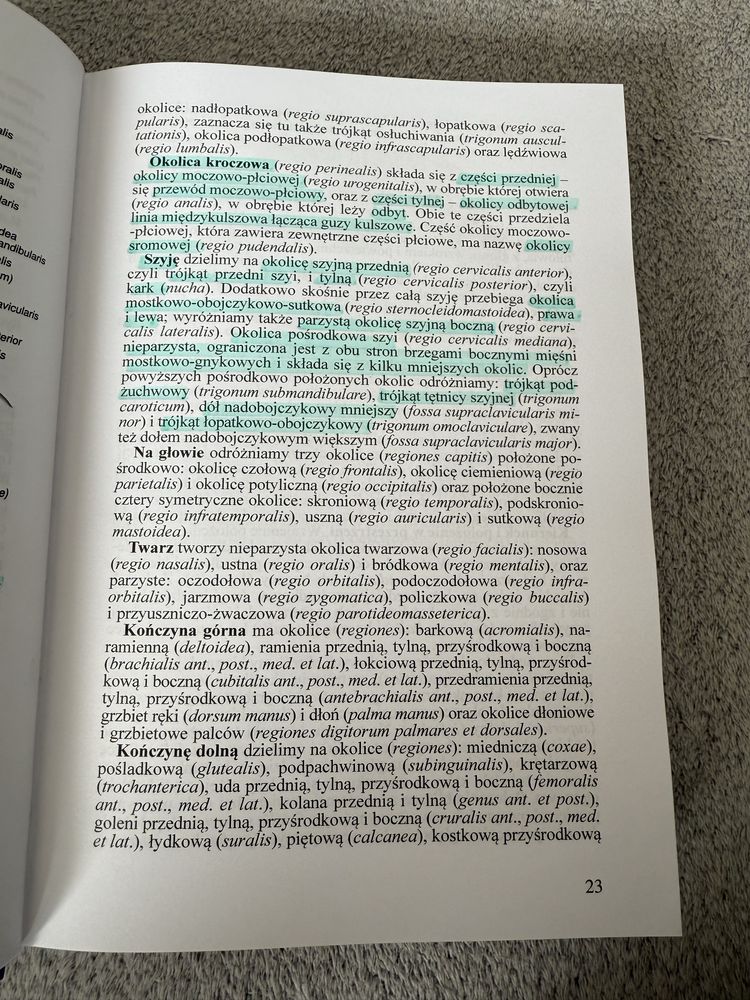 Anatomia człowieka Repetytorium anatomia Bochenek