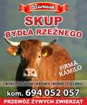 Skup zywca bydła zwierzat byki krowy jałówki