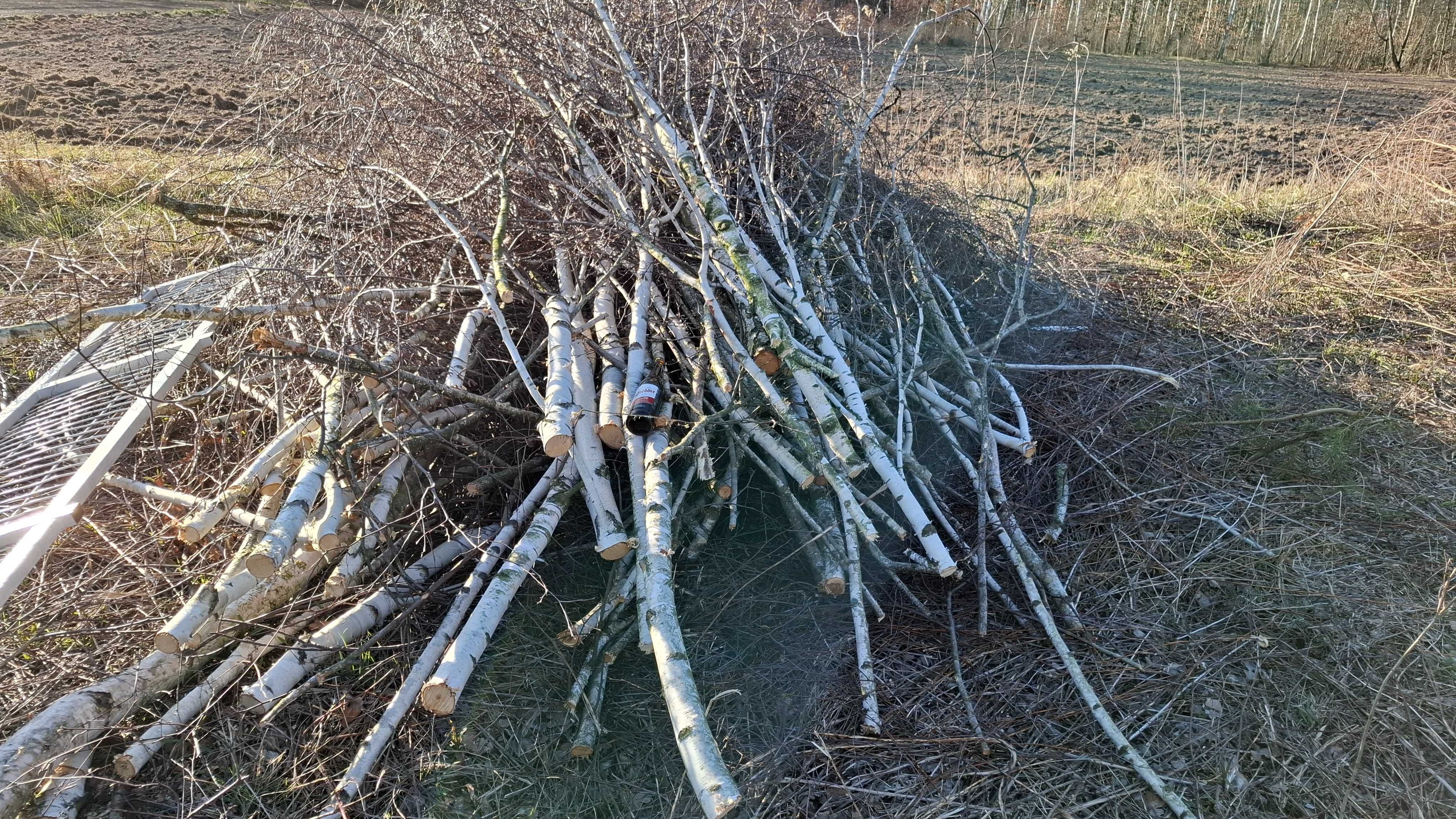 Gałęzie brzozowe, gałeziówka tani opał