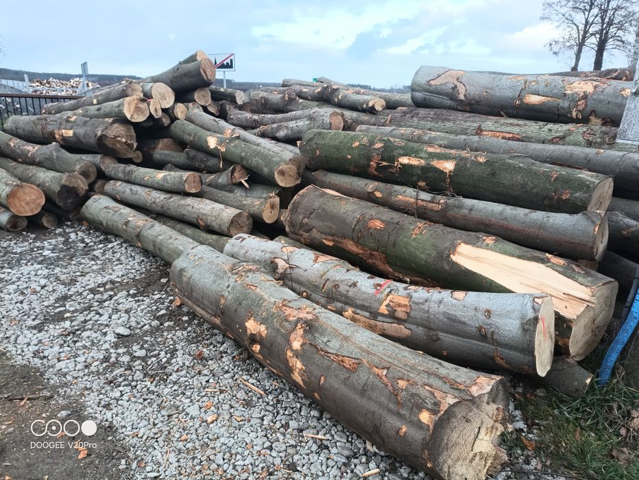 Drewno kominkowe opałowe JAWOR Sosna Olcha Brzoza Dąb Klon