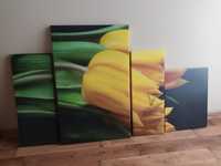 Obraz 4-częściowy tulipany