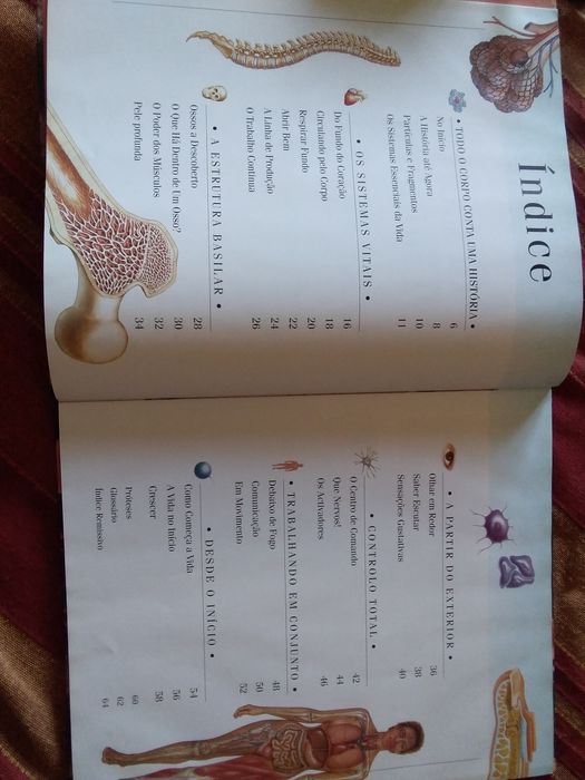 Enciclopédia O Corpo Humano