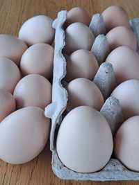 Swojskie jajka świeże i zdrowe