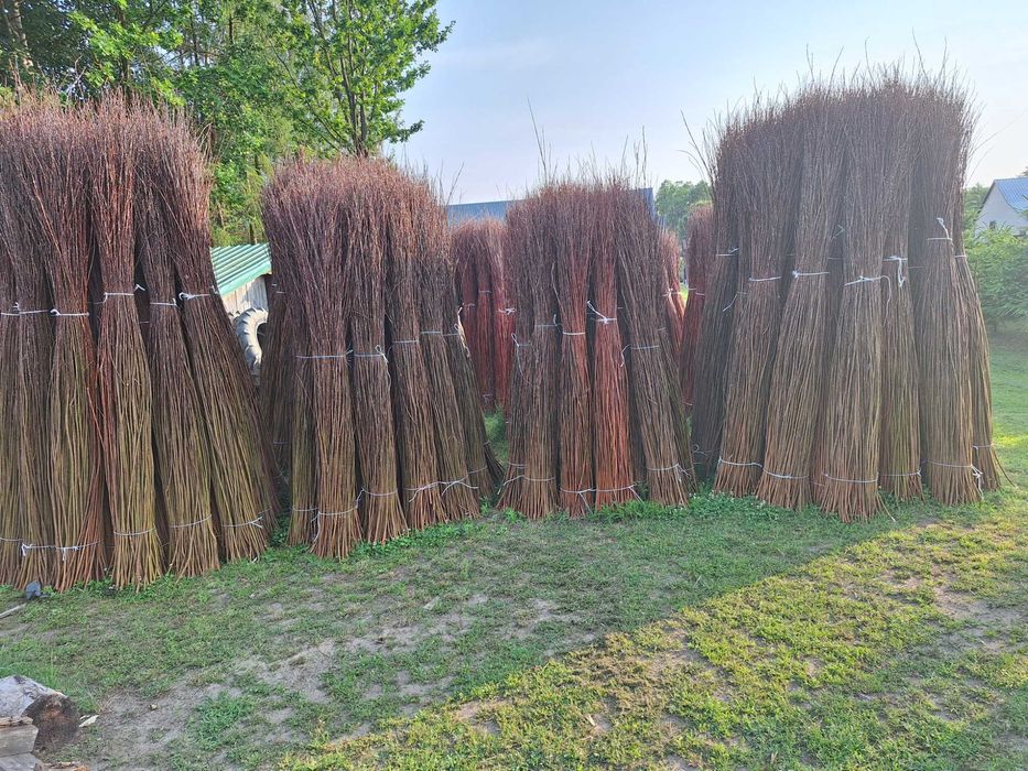 Wiklina sucha sortowana