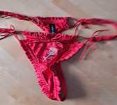 Stringi For Love and Lemons