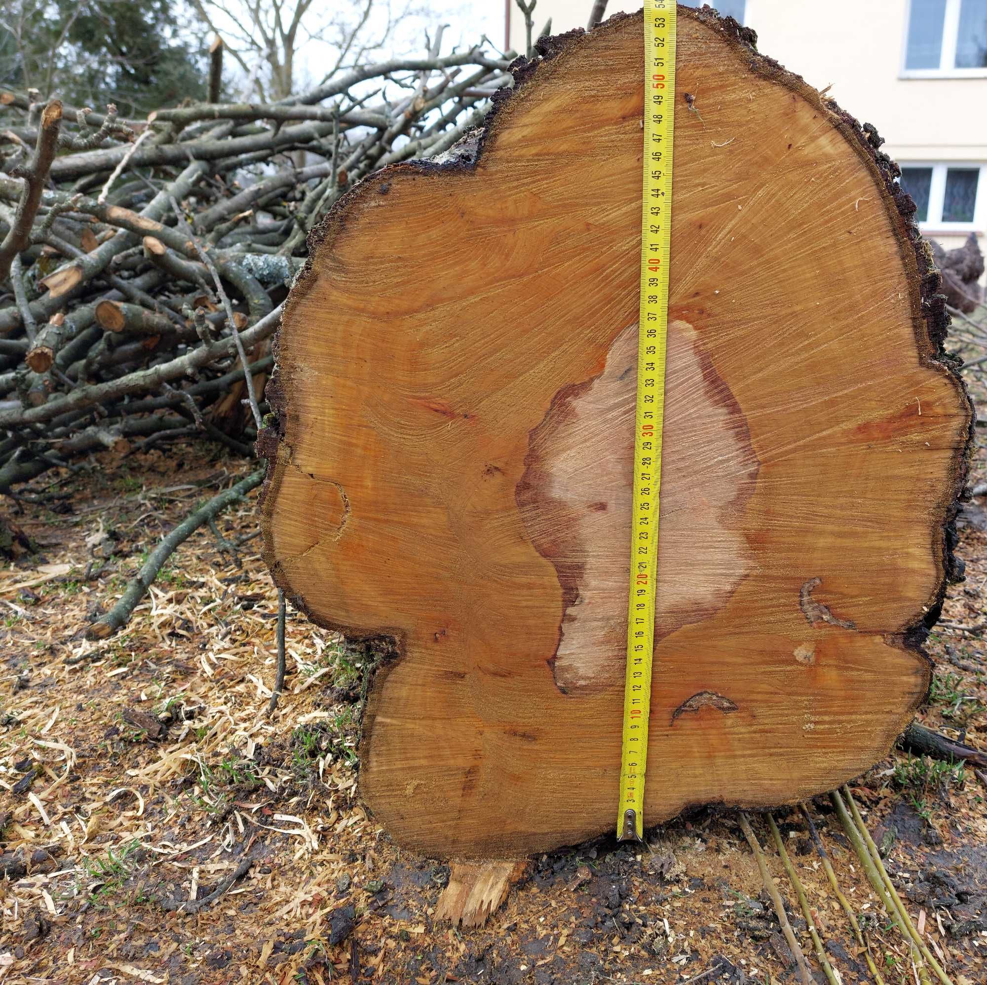 Kłoda gruszy, czereśni i orzecha