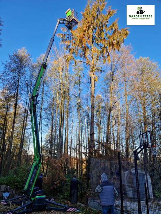 Wycinka drzew, pielęgnacja drzew, przycinanie drzew
