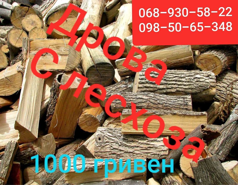 Дрова твёрдых и мягких пород от лесхоза по цене от 1000 грн