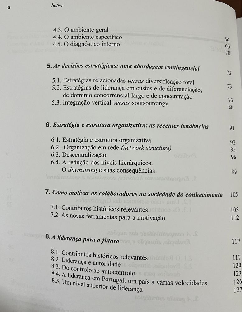 Estratégia e Competitividade - Como vencer nos negócios no século XXI