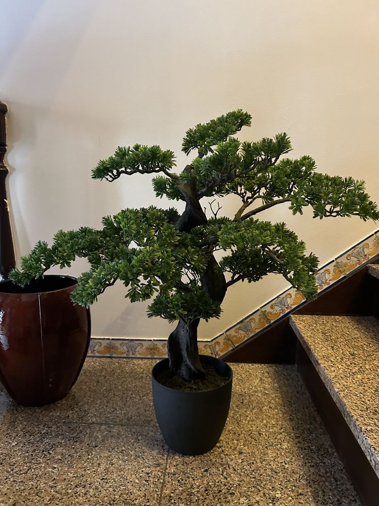 Bonsai artificial optimo estado