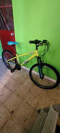 Bicicleta Berg Junior Charme 243 de menina, roda 24,