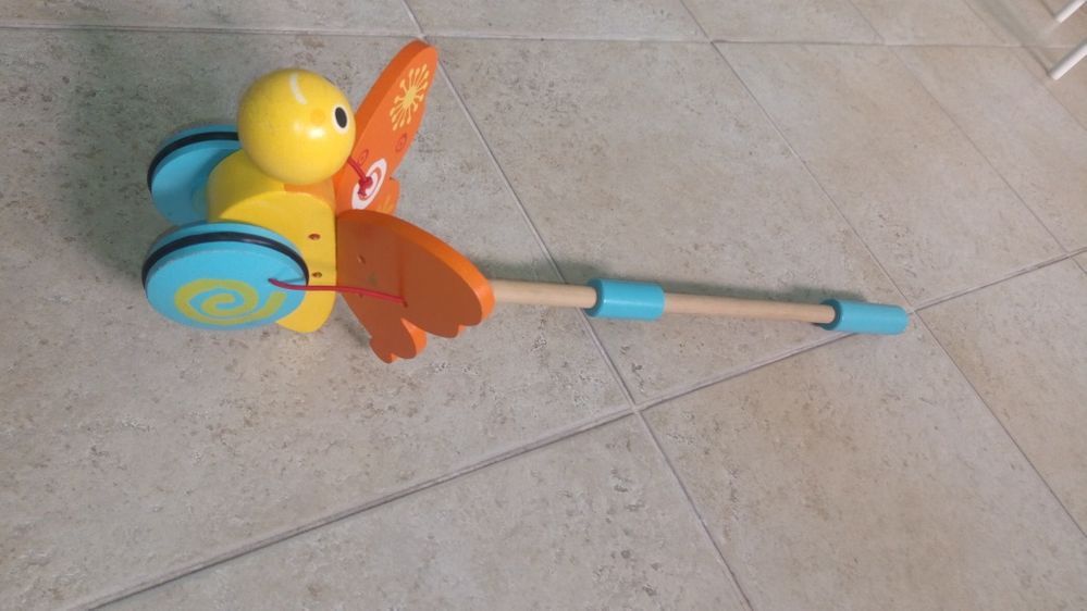 Pássaro brincar novo