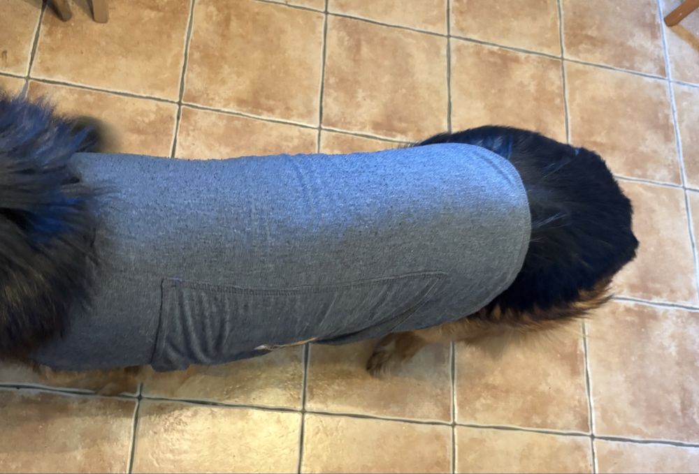 Kamizelka uciskowa dla psa lękowego XL Thindershirts