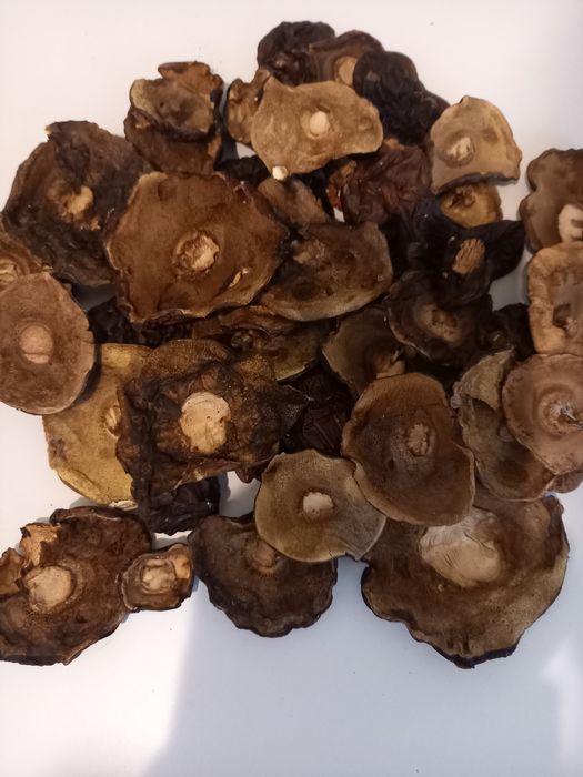 Sprzedam suszone podgrzybki 200 zł za kg wysyłka tylko in.Post