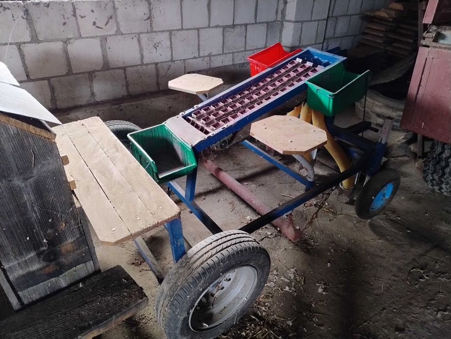 Sadzarka do czosnku i cebuli