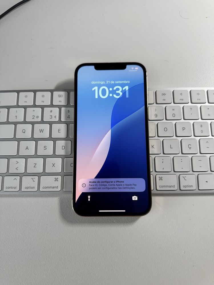Iphone 12 pro max 256 gb