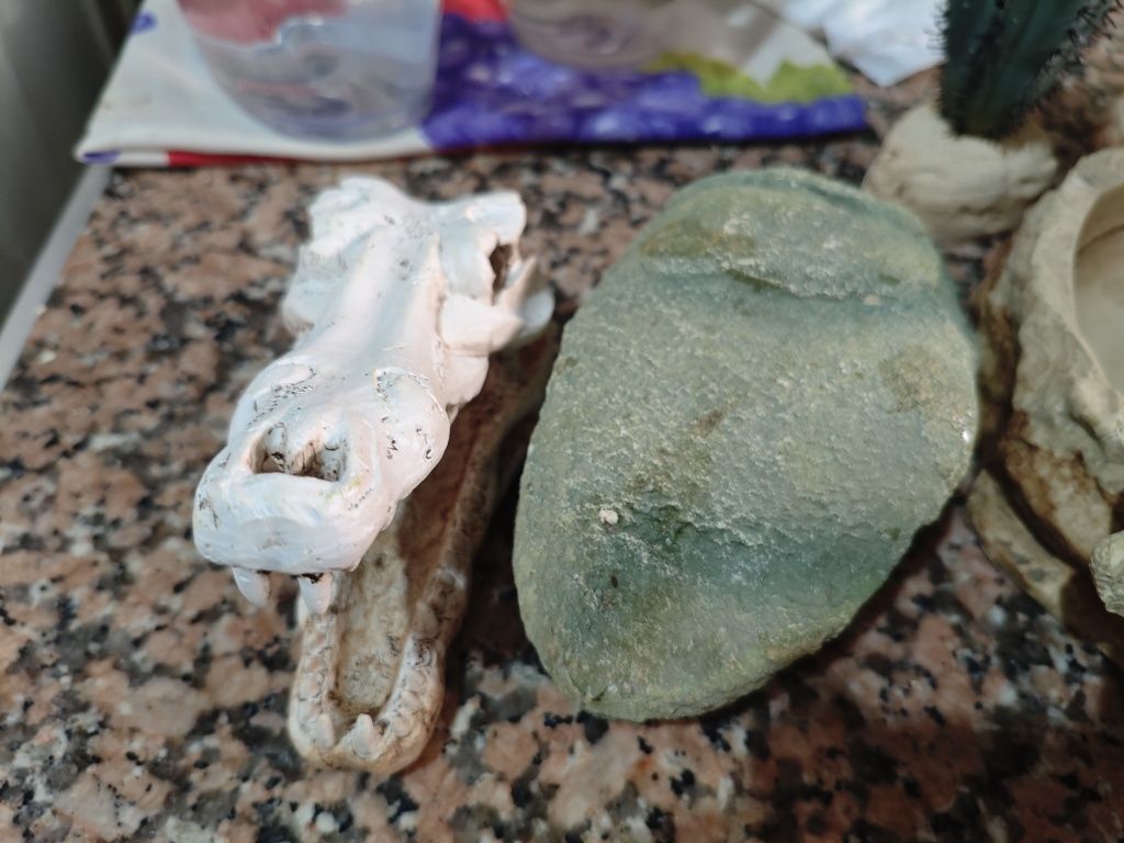 Acessórios para terrários