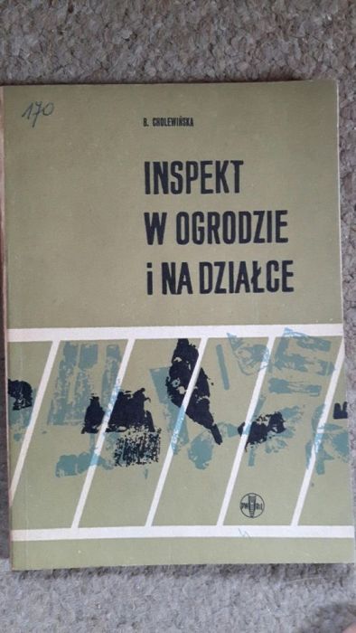 Inspekt w ogrodzie i na działce Cholewińska