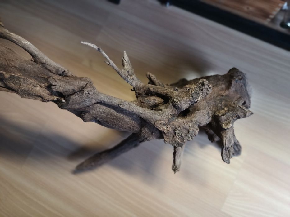 Duży korzeń do akwarium lub terrarium