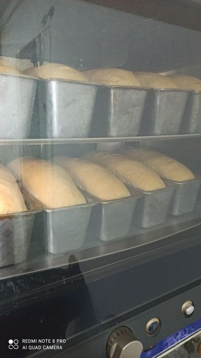 Пароконвекційна піч Unox