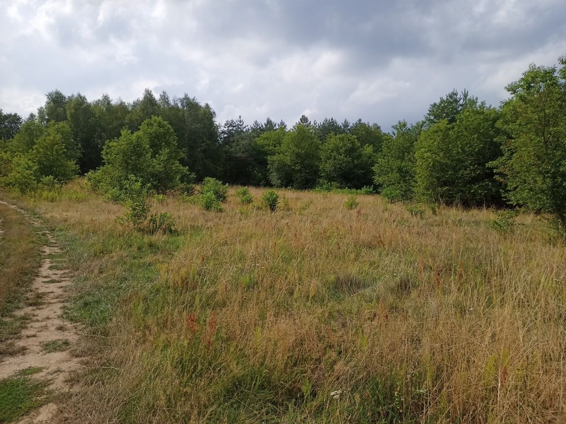 Działka rolna Bagno.