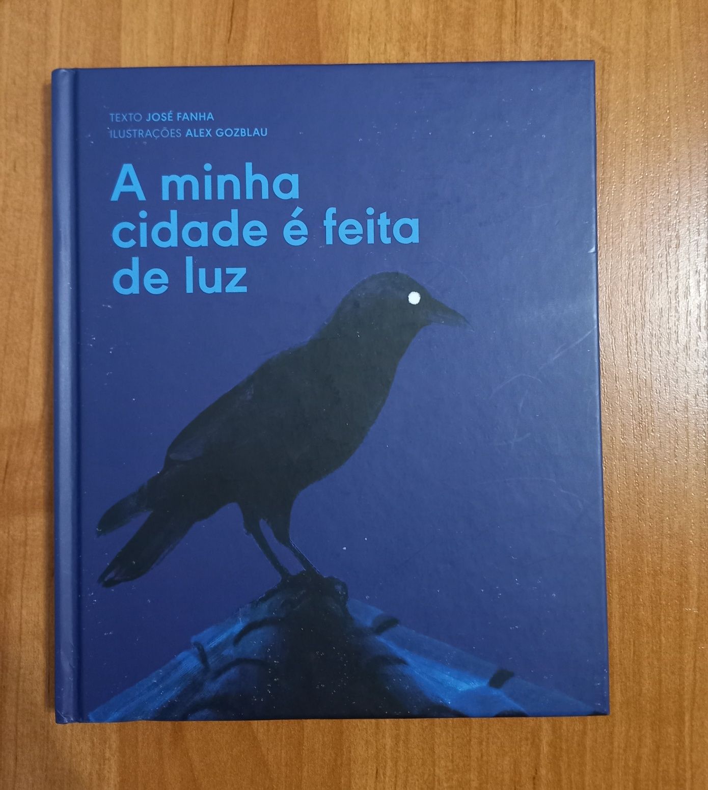 Livro - A minha cidade é feita de luz