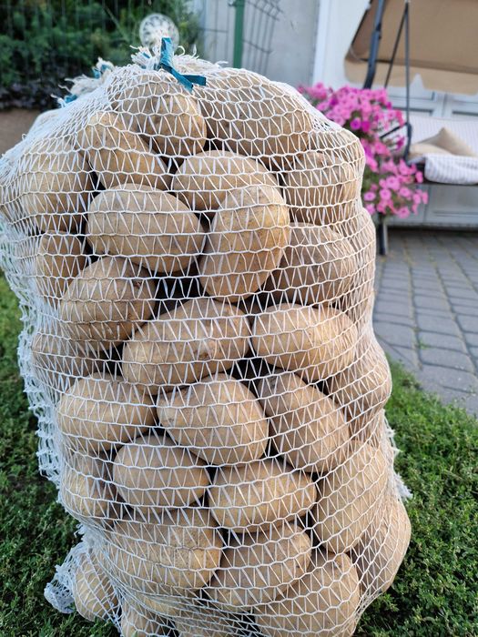 Ziemniaki catania i rudolph