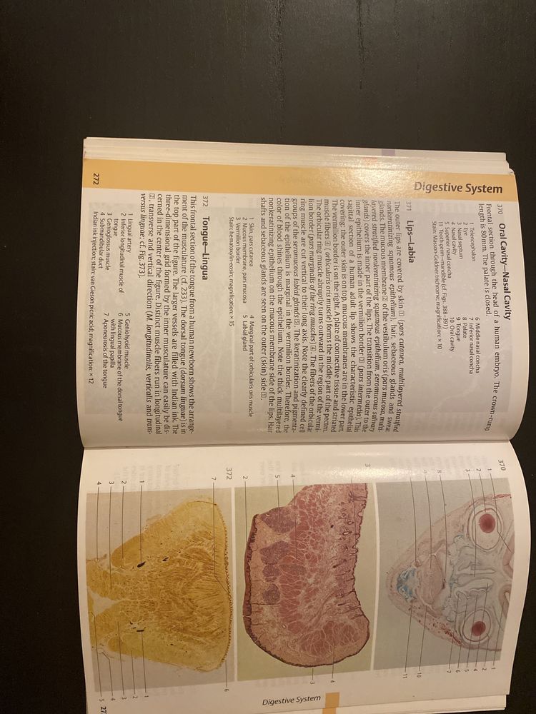Livro - Color Atlas of Cytology, Histology and Microscopic Anatomy