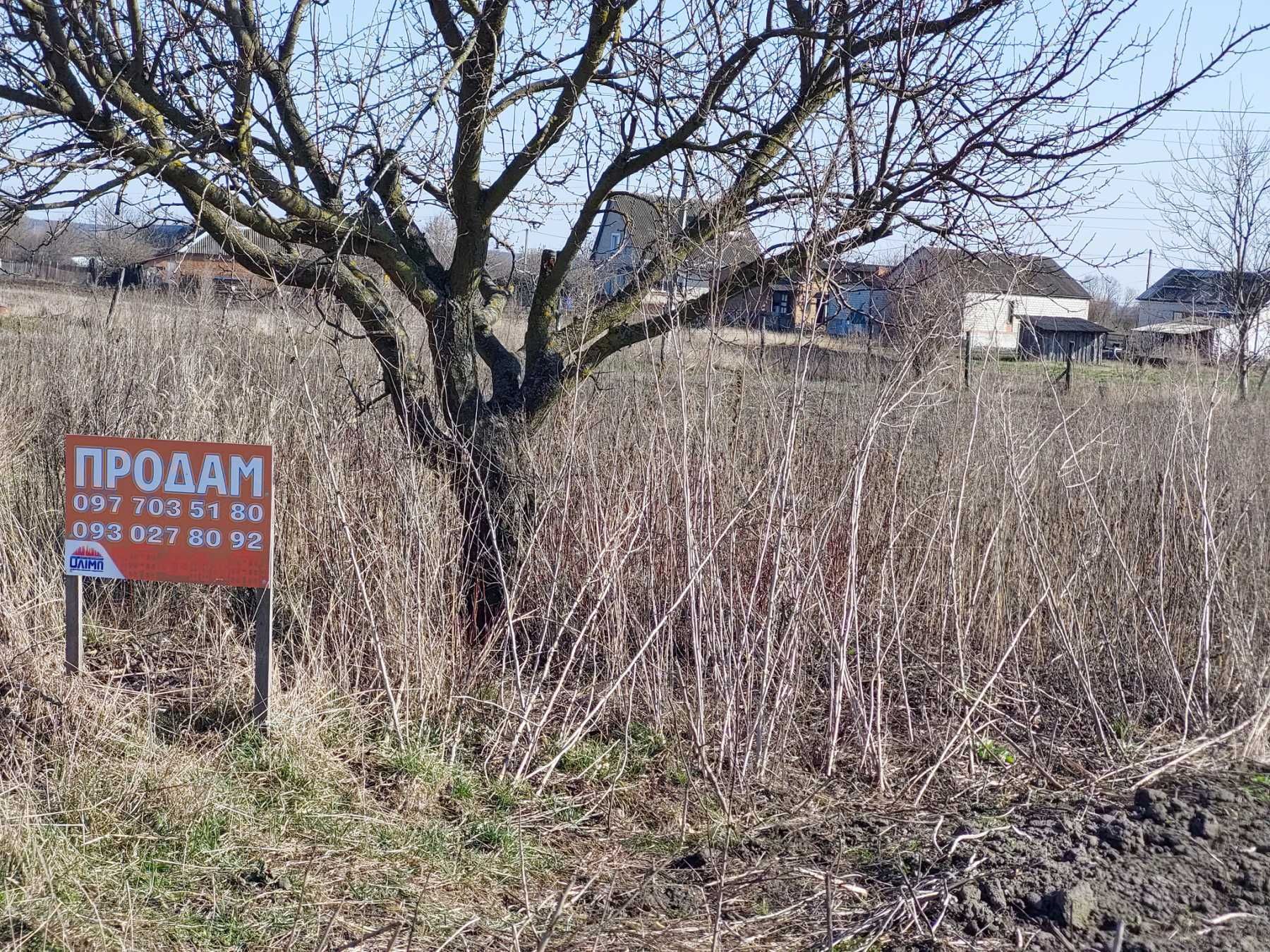 Продається земельна ділянка в "с. Літин" 5180