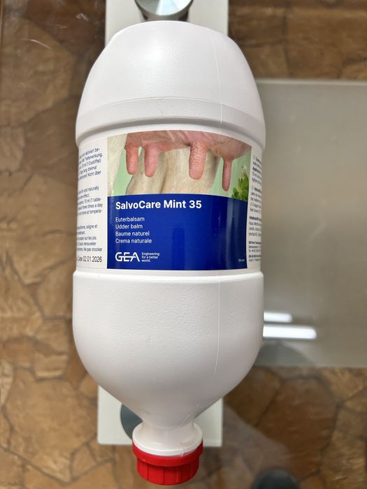 SalvoCare Mint 2500 ml balsam pielęgnacyjny do wymion maść