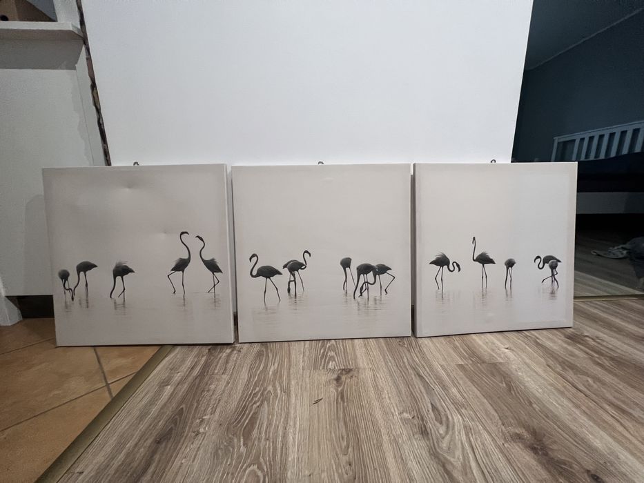 Zestaw 3 obrazów IKEA