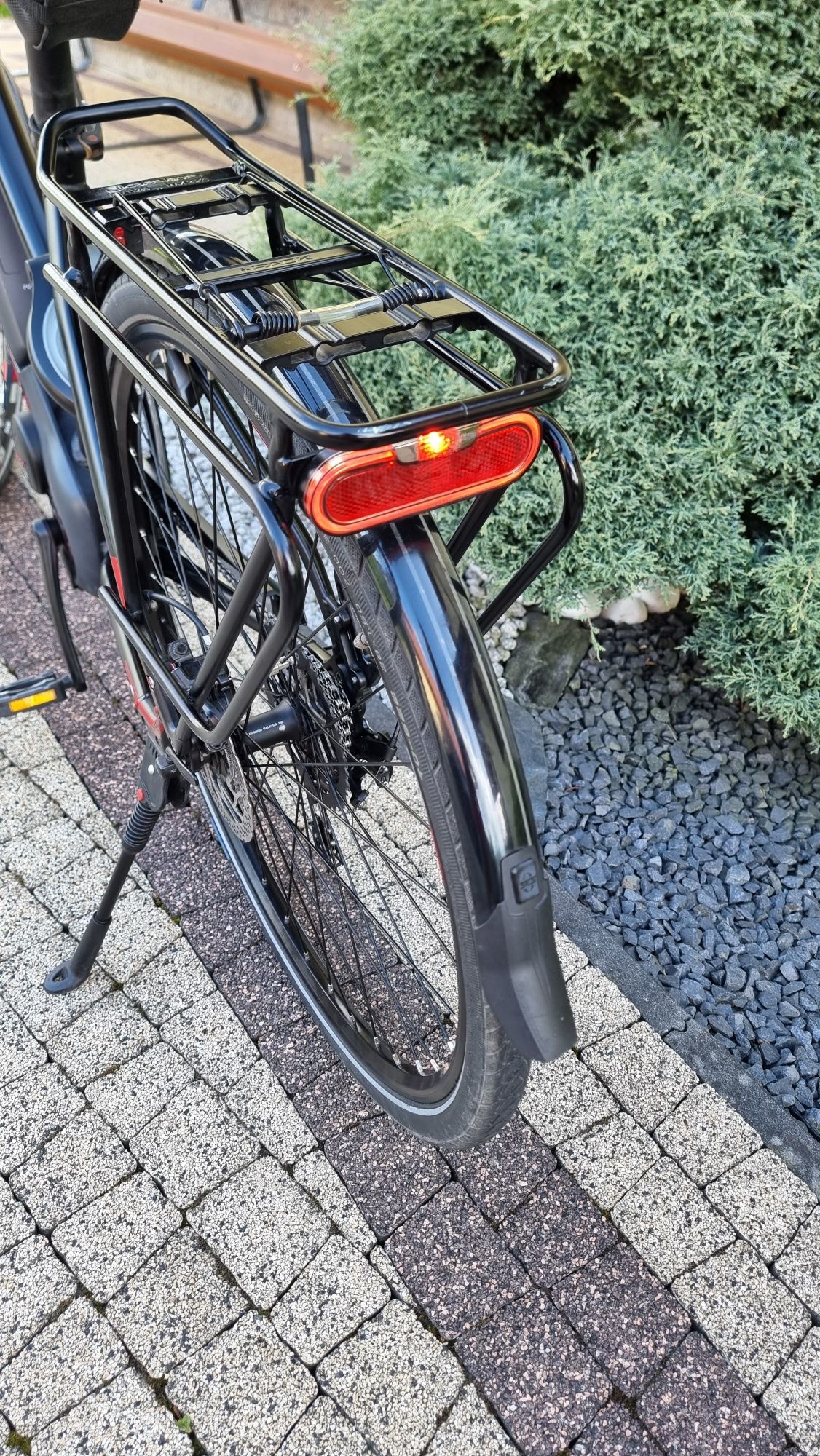 Rower elektryczny E-Bike Pegasus e10 pro Rama S