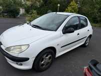 Peugeot 206 usado