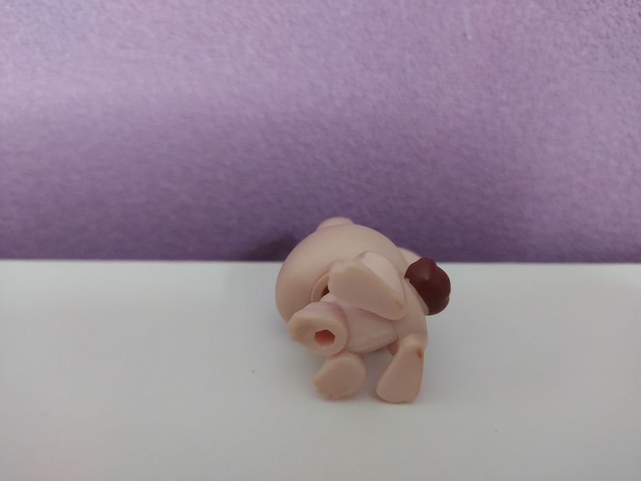 LPS królik króliczek #1019