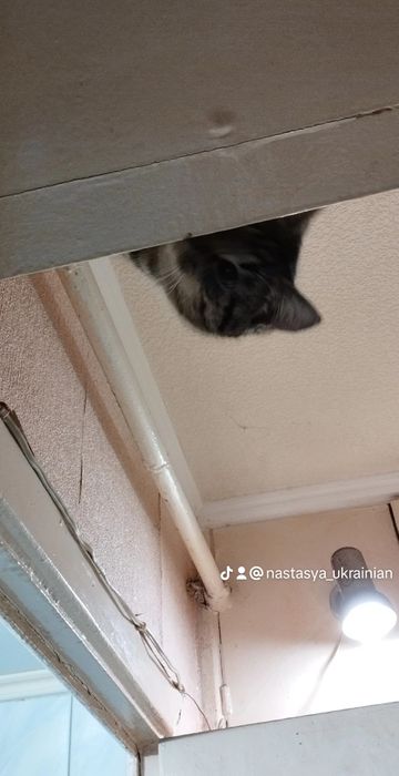 !Терміново! Пропав друг $ВИНАГОРОДА$