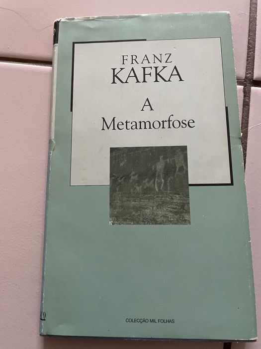 Livro a Matamorfose KAfka